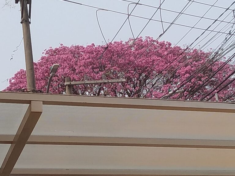 WhatsApp Image 2025-11-06 at 12.01.29 (1)